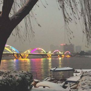 山口诚小男孩和妈妈的故事
