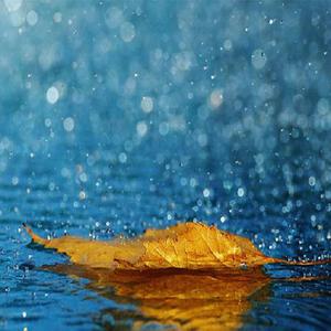 山口诚小男孩和妈妈的故事
